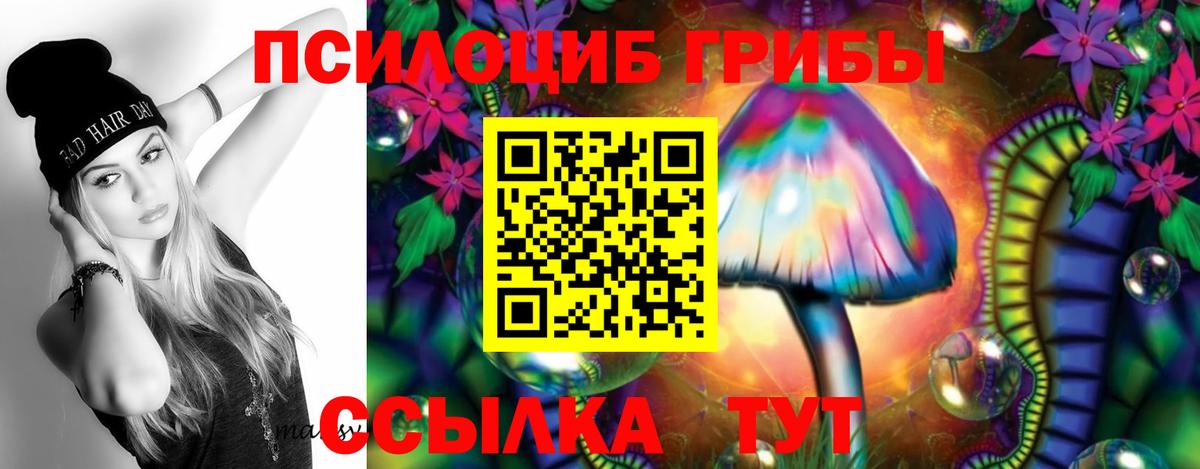 Галлюциногенные грибы мухоморы Сочи