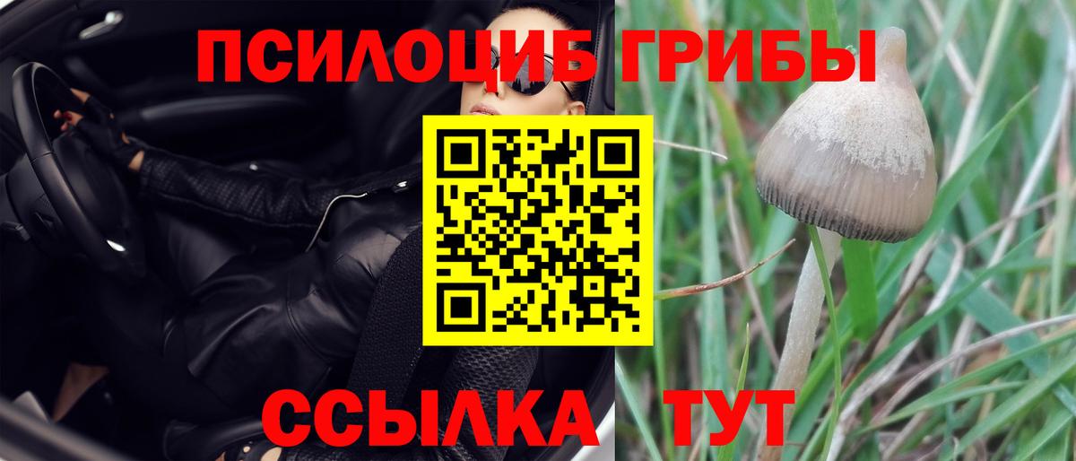 Сочи  Галлюциногенные грибы мицелий  Вход с VPN 